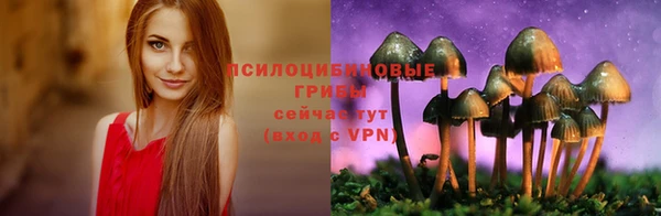 МДПВ Белокуриха